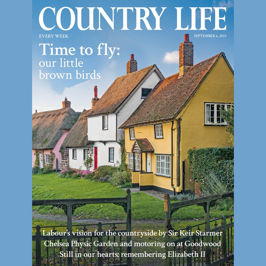 Country Life 20230906